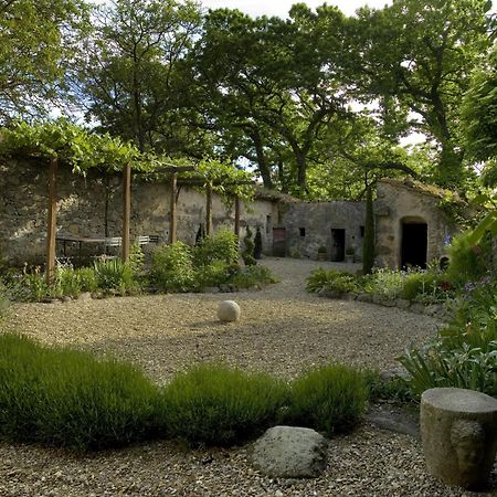 Villa Casa Di Pietro In Vivo D'Orcia, Pool Exterior foto